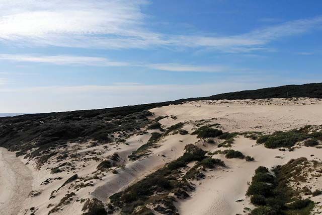 foto drone playa de bolonia