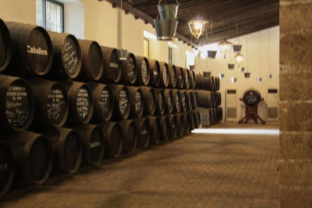 In the San Marcos castle are located the Bodegas Caballero.