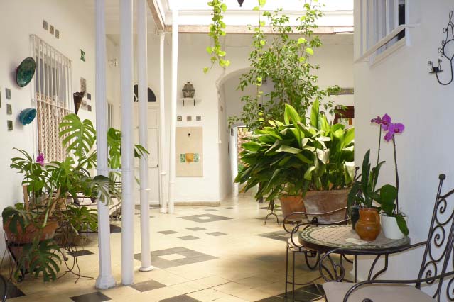 apartamentos con encanto en una casa señorial, protegida y típica Jerezana. Situado en el casco antiguo de Jerez, la casa tiene un precioso patio ajardinado y ademas un acogedor jardín para disfrutar de aire libre en un ambiente histórico y tradicional Andaluz.