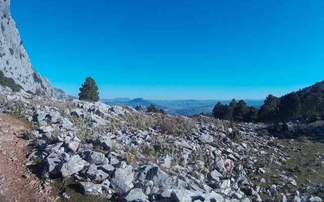 El Torreón – Grazalema Route