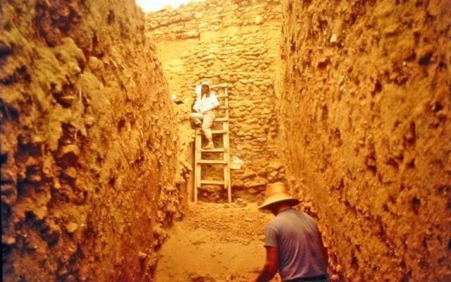 Doña Blanca Archaeological Site