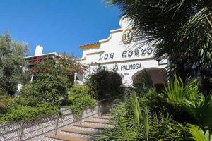 Venta-los-Corzos-Alcala-Gazules-Hotel-Palmosa-Restaurante-Comer-Alojamiento-13