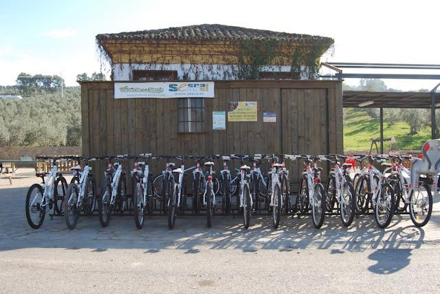 Alquiler de Bicicleta de Carretera - Rent a Bike Sevilla