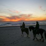 Horseback riding on some beach in Zahara de los Atunes is something you must do before you die!