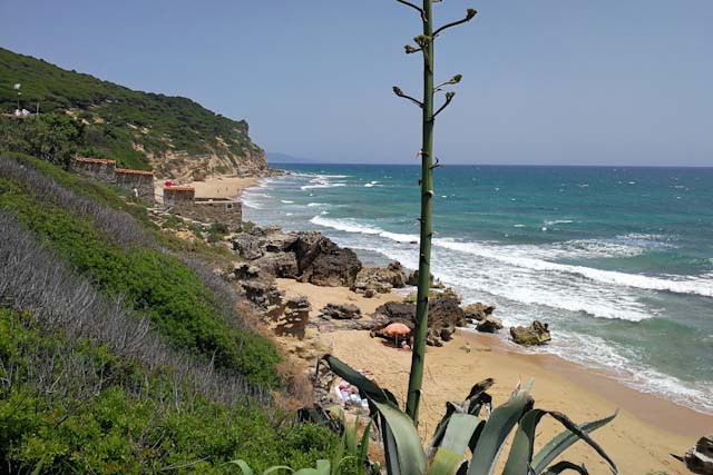 You'll absolutely love Barbate beaches!